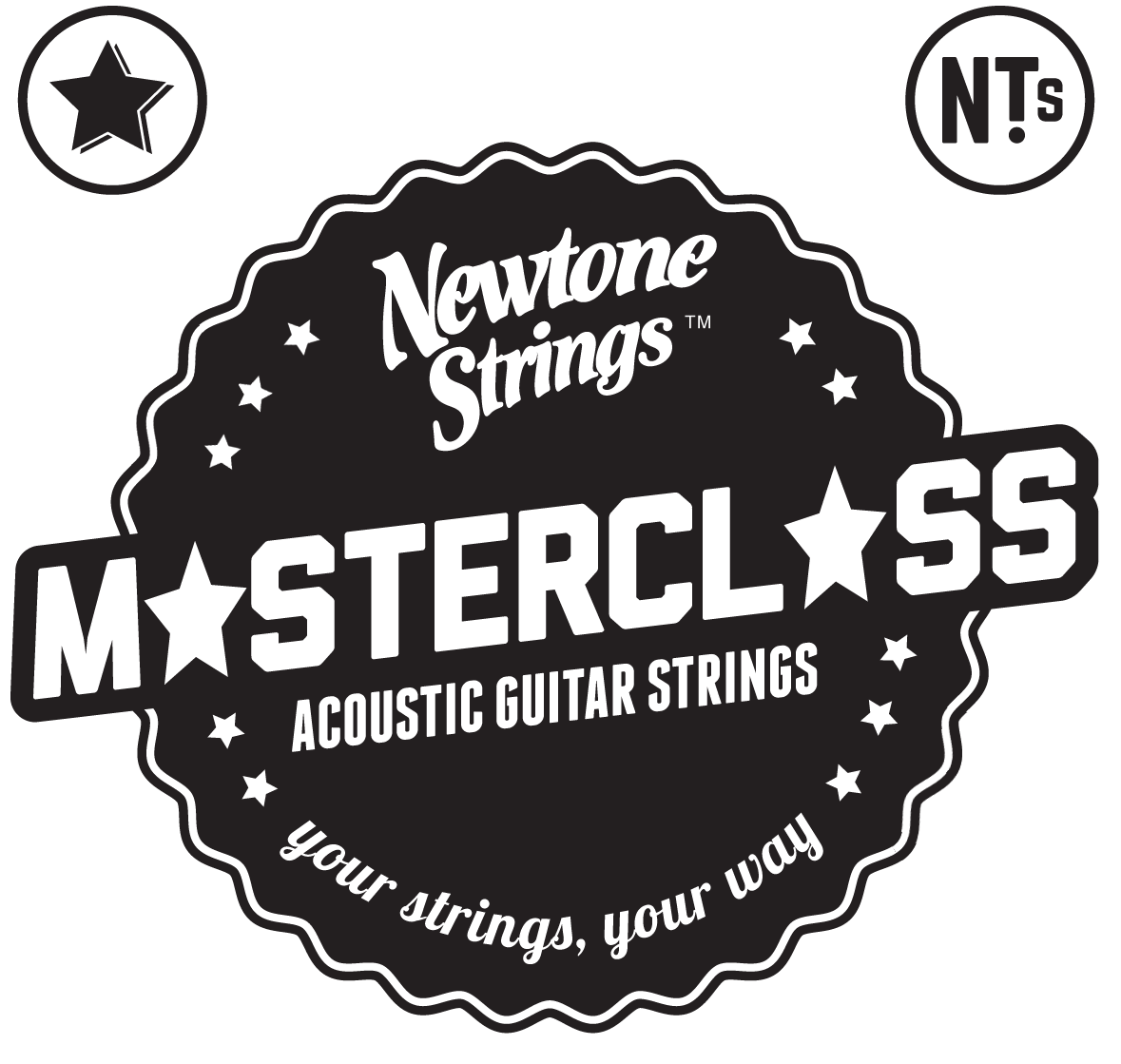 Newtone Acoustic Nick Harper Master Class Saiten 13-66 Phosphor