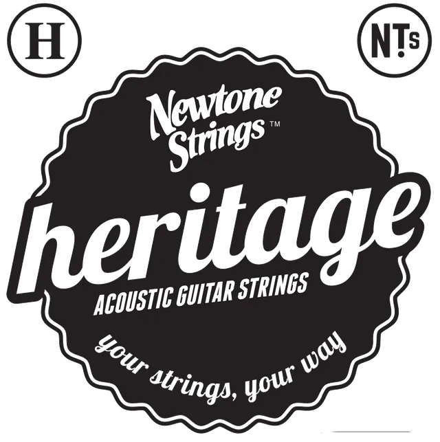 Newtone Heritage 12-saitig Akustik Gitarrensaiten Satz