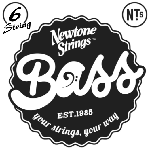 Newtone Platinum 6 String Bass Bassgitarrensaiten 6-saitig