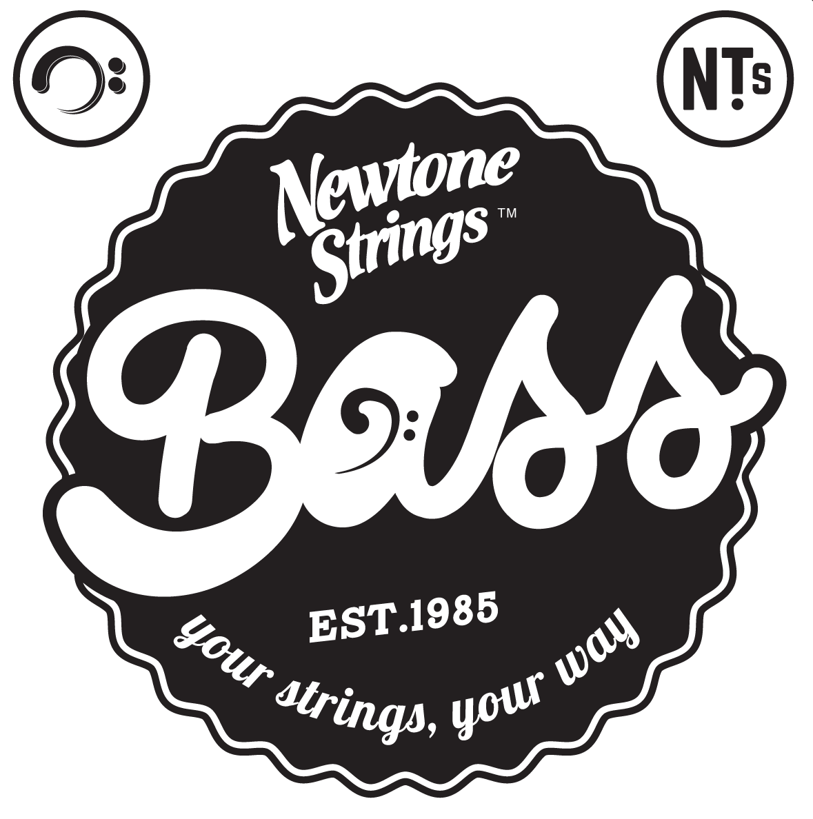 Newtone Diamond Bass Multiscale Basssaiten Satz