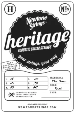 Newtone Heritage Akustikgitarrensaiten 6-saitig Satz