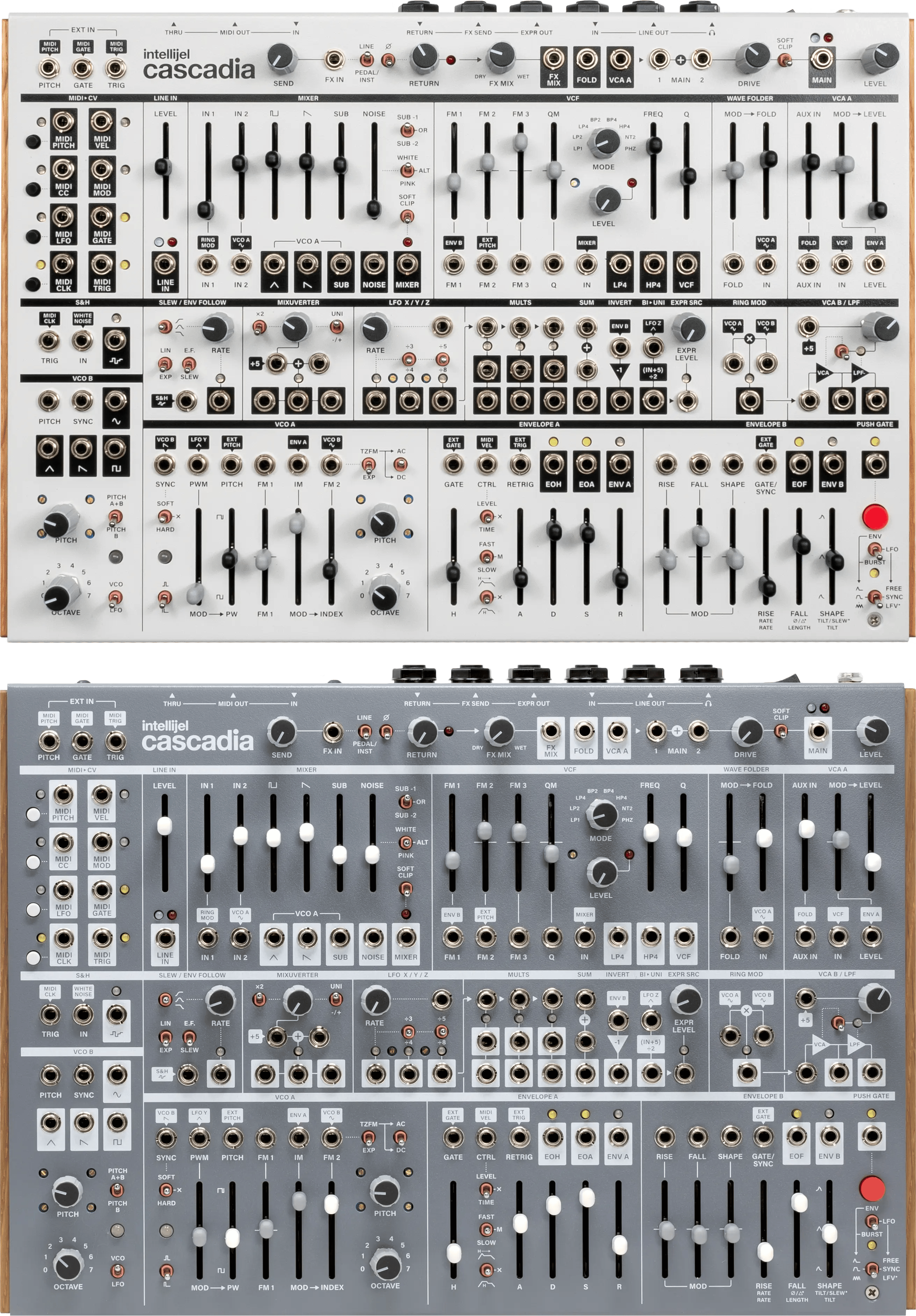 Intellijel Cascadia Desktop-Synthesizer semi-modular analog