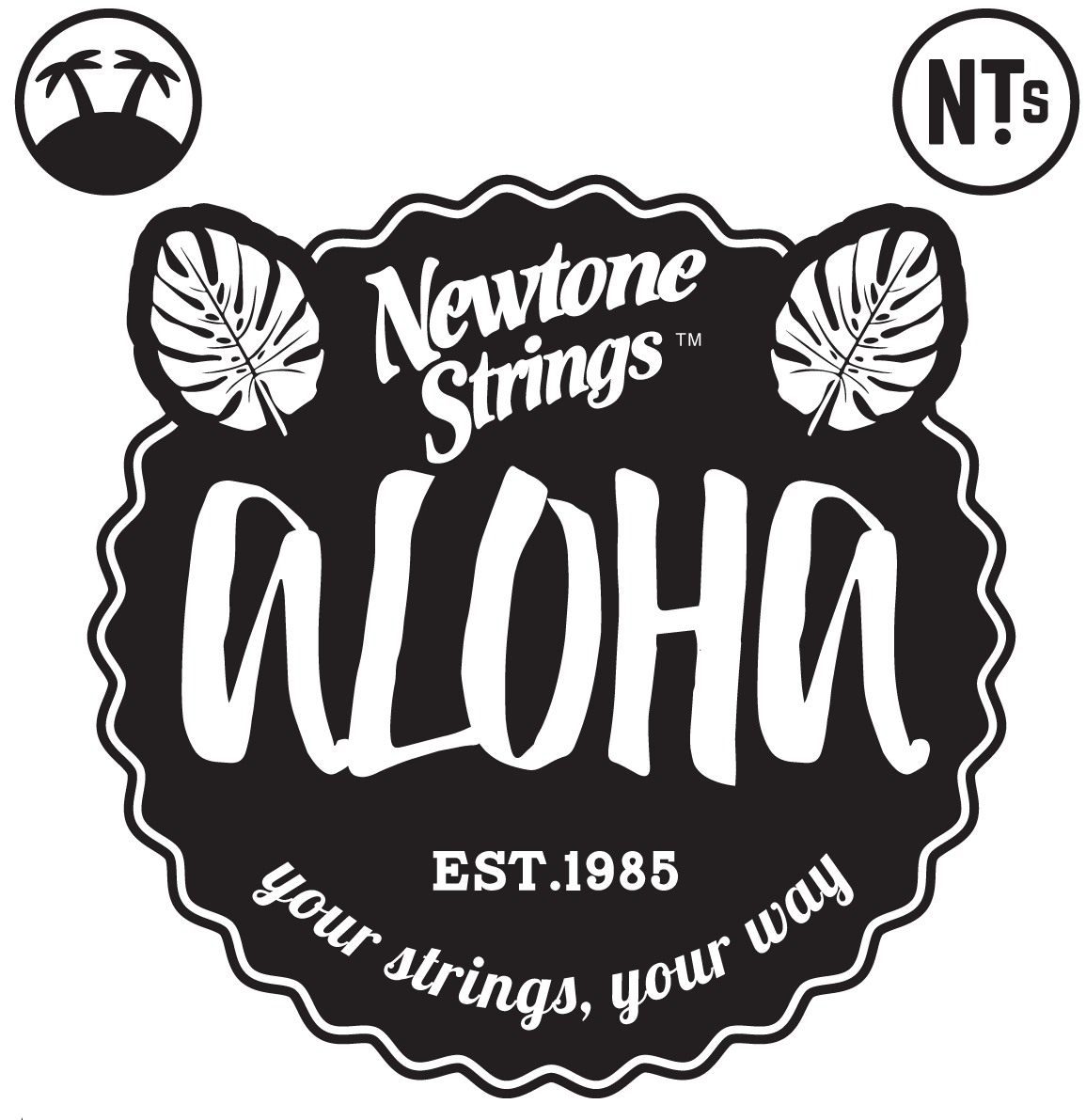 Newtone Aloha Akustiksaiten Satz für Akustikgitarre