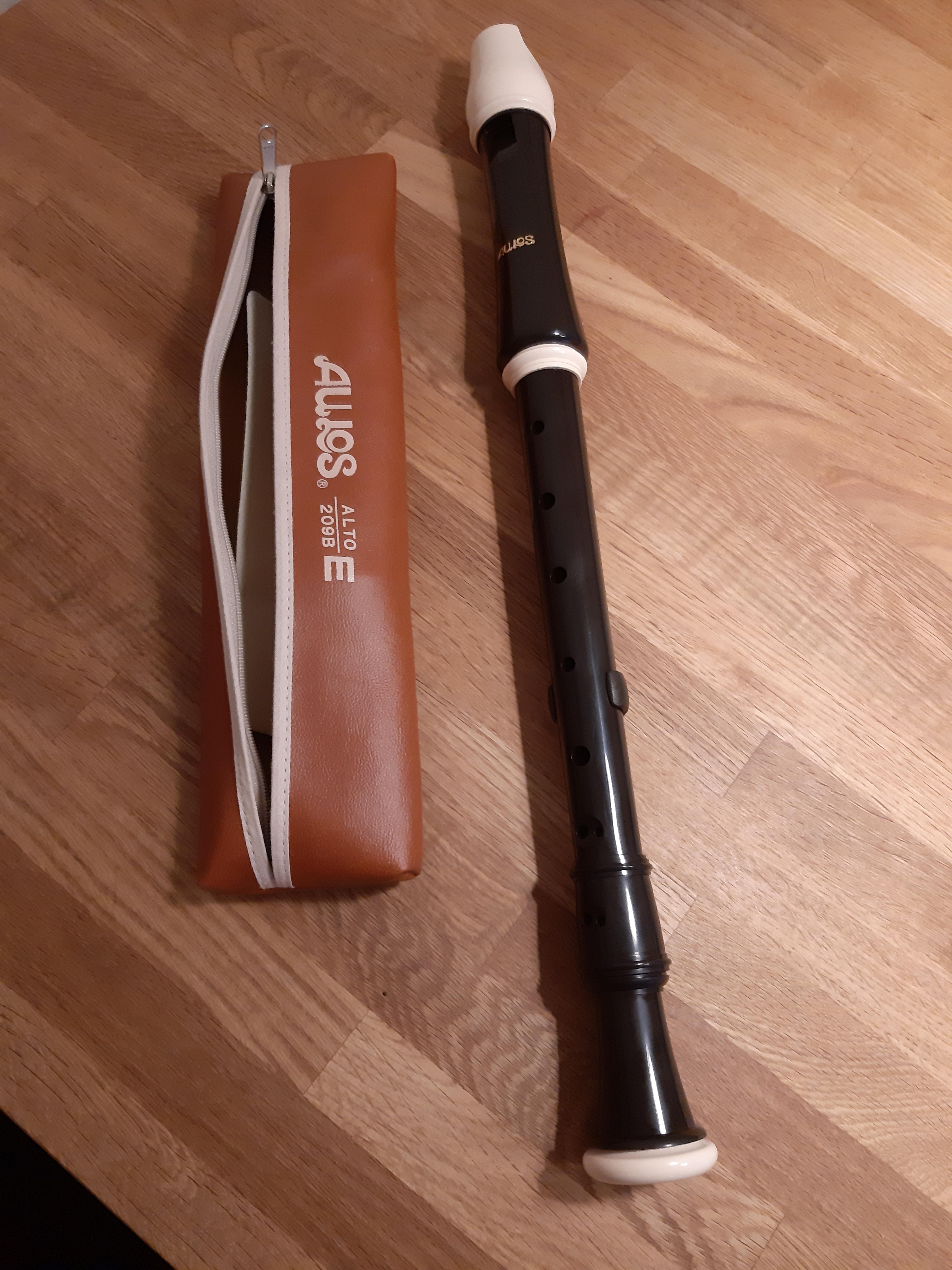 Aulos Robin 209B Alt Blockflöte barock braun mit Tasche