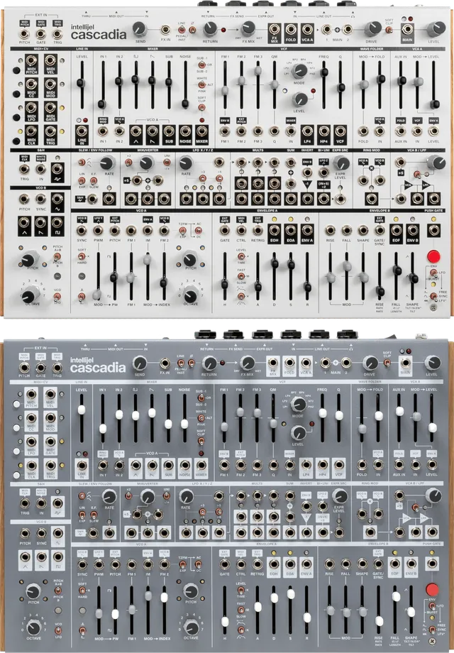 Intellijel Cascadia Desktop-Synthesizer Analog B-Stock