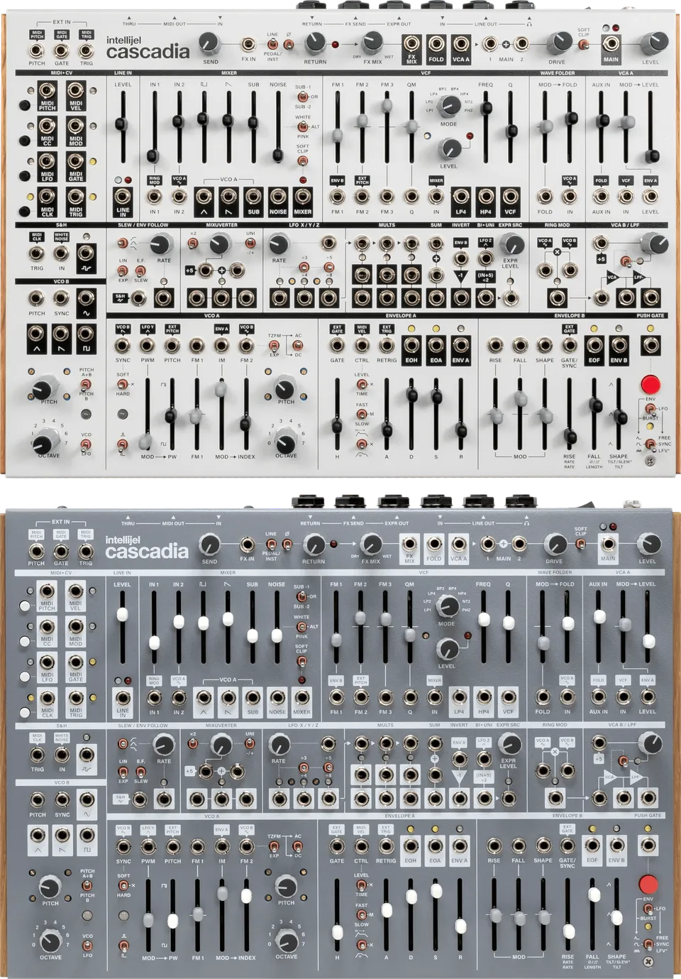 Intellijel Cascadia Desktop-Synthesizer Analog B-Stock