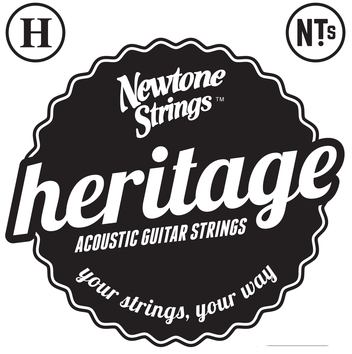 Newtone Heritage 12-saitig Akustik Gitarrensaiten Satz