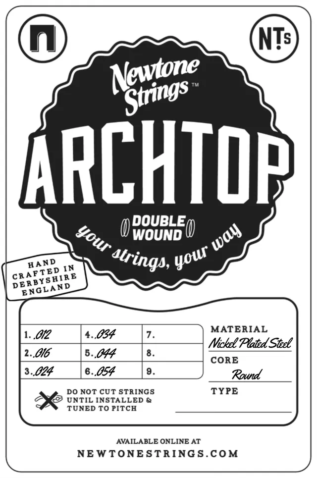 Newtone Archtop 6-saitig E-Gitarrensaiten Jazz